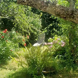 T2 Dans Chalet Familial Valdeblore